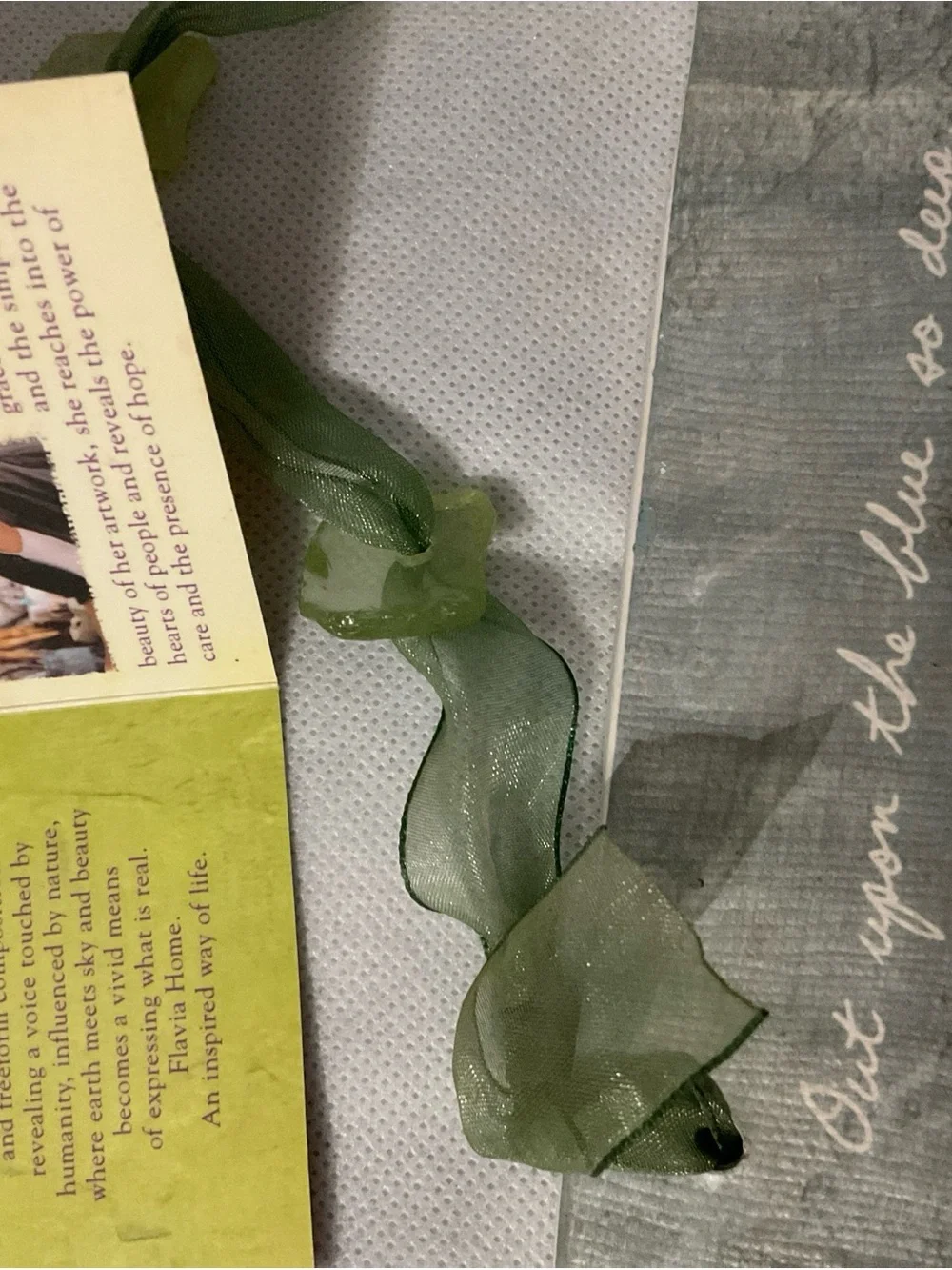 Silvestri Sheer Sage Green Ribbon Necklace